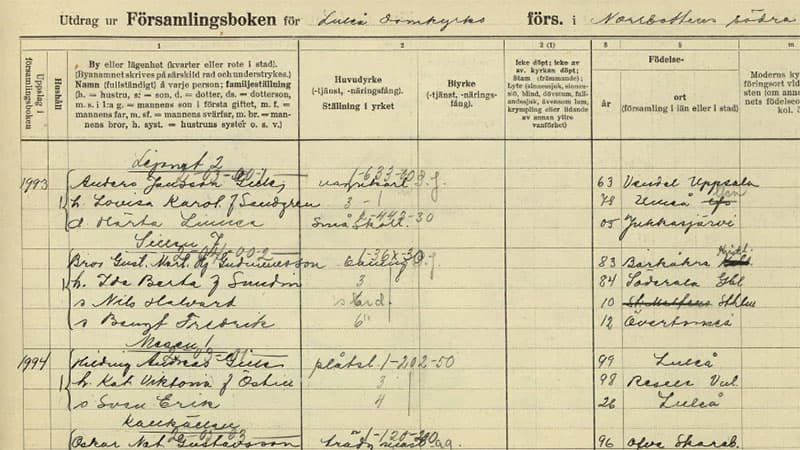 Utdrag ur församlingsboken för Luleå Domkyrkoförsamling från 1930, som visar detaljerad information om familjemedlemmar, deras yrken, födelseår, och födelseorter. Dokumentet är handskrivet och innehåller en kolumnindelning för namn, huvudyrke, födelseort och andra relevanta uppgifter.
